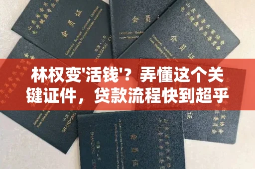 全国林权变'活钱'?弄懂这个关键证件,贷款流程快到超乎想象!