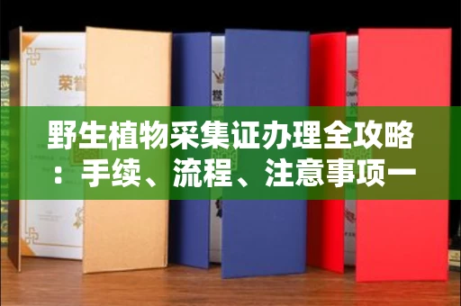 全国野生植物采集证办理全攻略：手续、流程、注意事项一网打尽